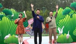 盈江新闻爆料视频最新消息,重大事件引发社会关注！