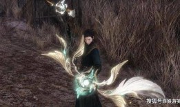 逆水寒新武器外观最新爆料,华丽外观引玩家热议，神秘属性待揭晓